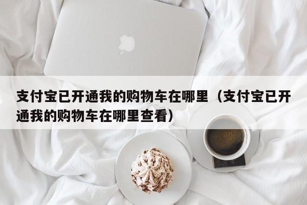 支付宝已开通我的购物车在哪里（支付宝已开通我的购物车在哪里查看）