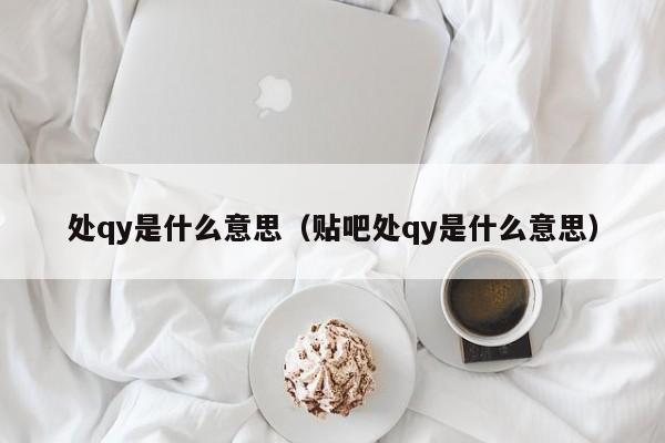 处qy是什么意思（贴吧处qy是什么意思）