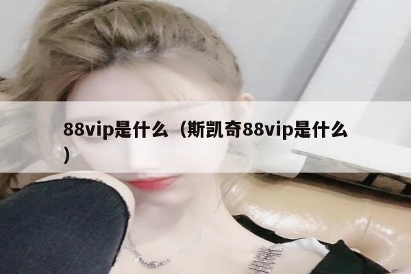 88vip是什么（斯凯奇88vip是什么）