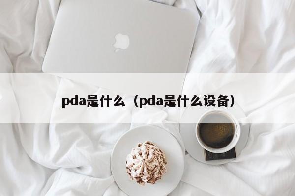 pda是什么（pda是什么设备）