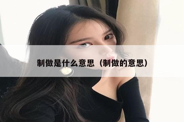 制做是什么意思（制做的意思）