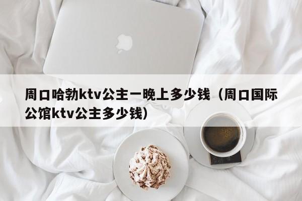 周口哈勃ktv公主一晚上多少钱（周口国际公馆ktv公主多少钱）