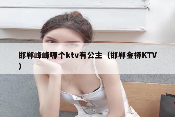 邯郸峰峰哪个ktv有公主（邯郸金樽KTV）