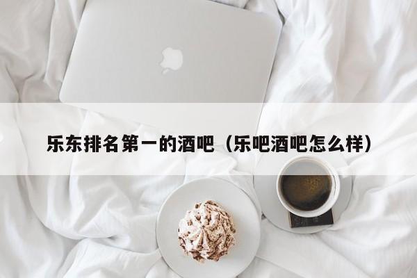 乐东排名第一的酒吧（乐吧酒吧怎么样）