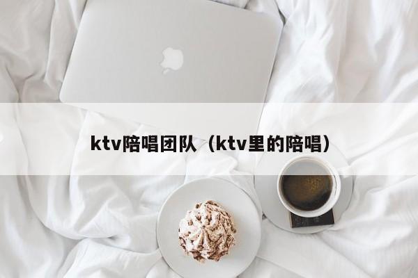 ktv陪唱团队（ktv里的陪唱）