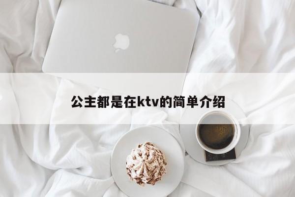 公主都是在ktv的简单介绍