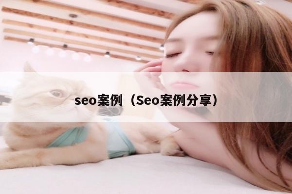 seo案例（Seo案例分享）