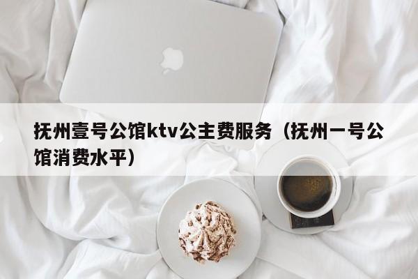 抚州壹号公馆ktv公主费服务（抚州一号公馆消费水平）