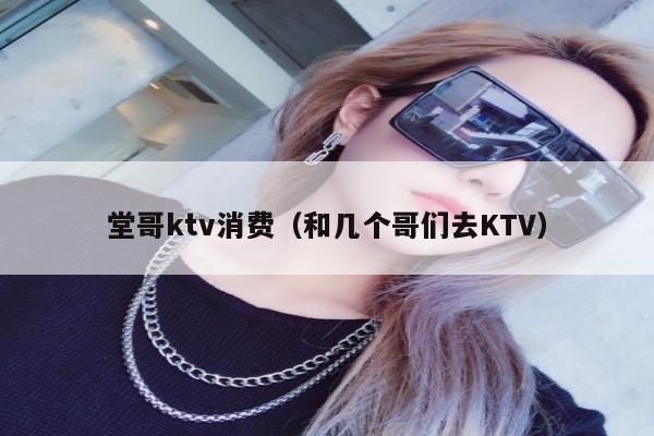 堂哥ktv消费（和几个哥们去KTV）