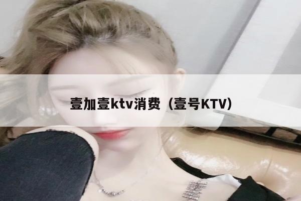 壹加壹ktv消费（壹号KTV）