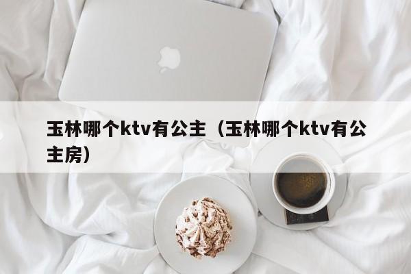 玉林哪个ktv有公主（玉林哪个ktv有公主房）