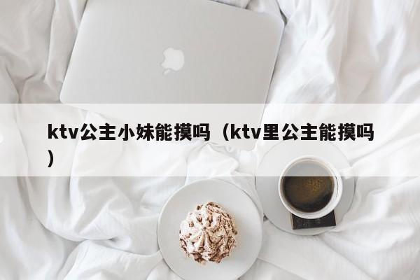 ktv公主小妹能摸吗（ktv里公主能摸吗）