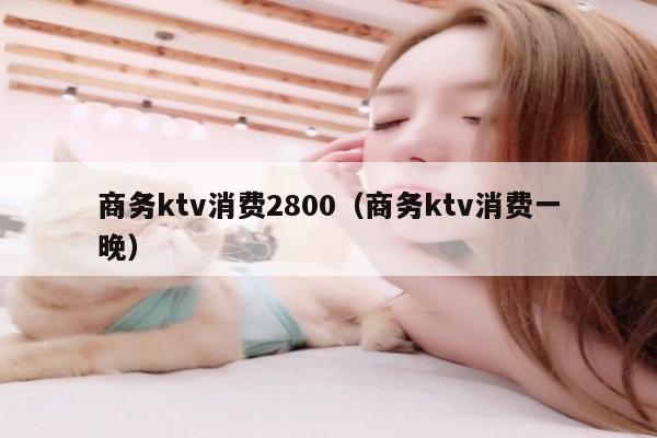 商务ktv消费2800（商务ktv消费一晚）