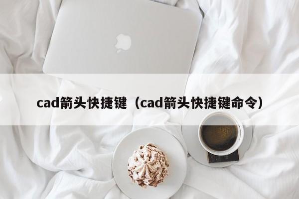 cad箭头快捷键（cad箭头快捷键命令）